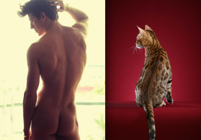 hot men with kittens tumblr